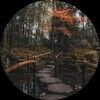 ecofocusedfinds
